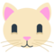 Kattengezicht