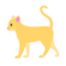 Kat