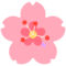 Kersenbloesem