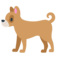 Hond