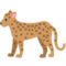Luipaard