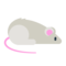 Muis