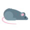 Rat