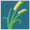 Rijstplant