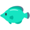 Tropische vis