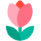 Tulp