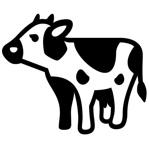 Kráva