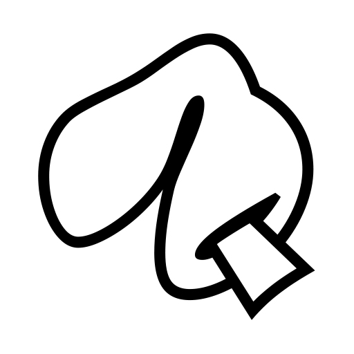 Sušenka štěstí