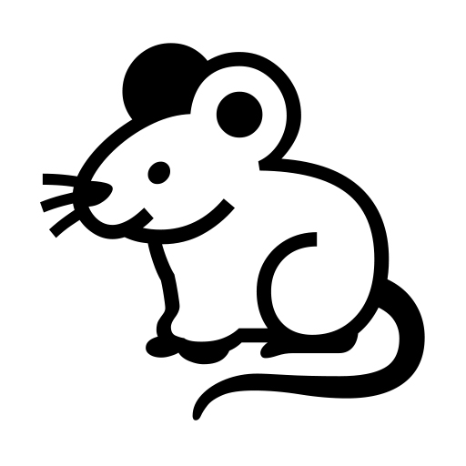 Myš