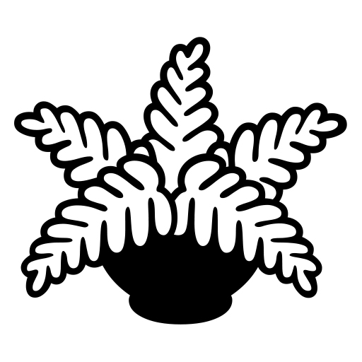 Rostlina v květináči