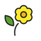 Gelbe Blüte