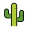 Kaktus