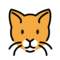Katzengesicht