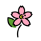 Kirschblüte