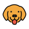 Hundegesicht