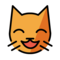 Grinsende Katze Mit Lachenden Augen