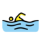 Schwimmer(In)