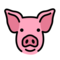 Schweinegesicht