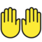 Zwei Erhobene Handflächen