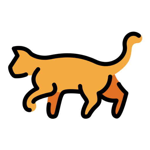 Katze