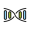 DNA