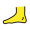 Fuß