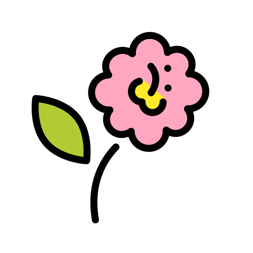 Hibiskus