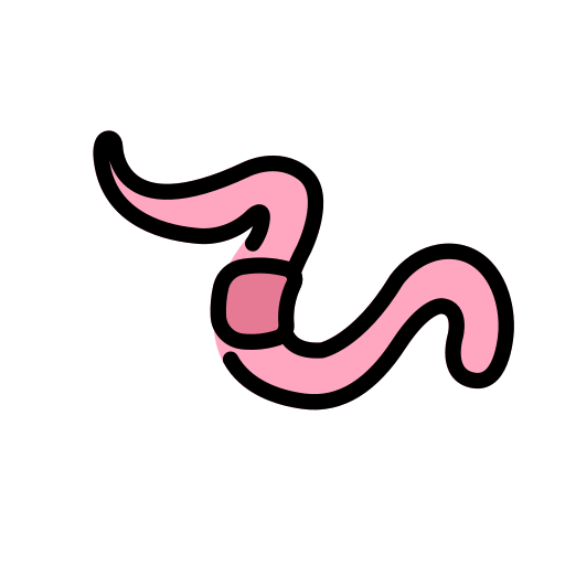 蠕虫