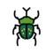 Beetle