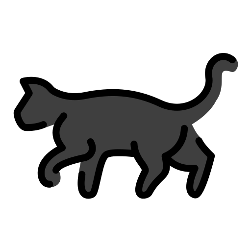 Black Cat