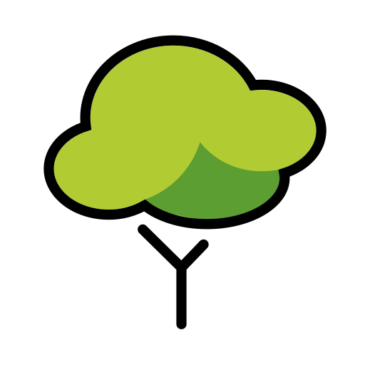 Deciduous Tree