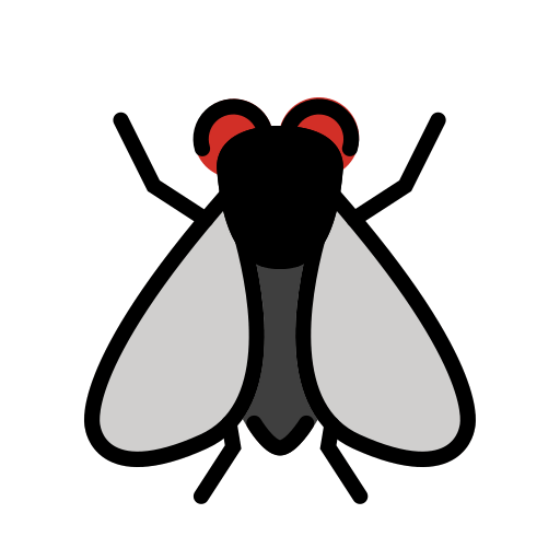 Fly