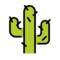 Kaktus