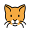 Katzengesicht