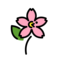 Kirschblüte