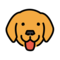 Hundegesicht