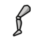 Beinprothese