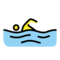 Schwimmer(In)