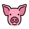 Schweinegesicht