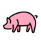 Schwein