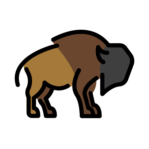 Bison