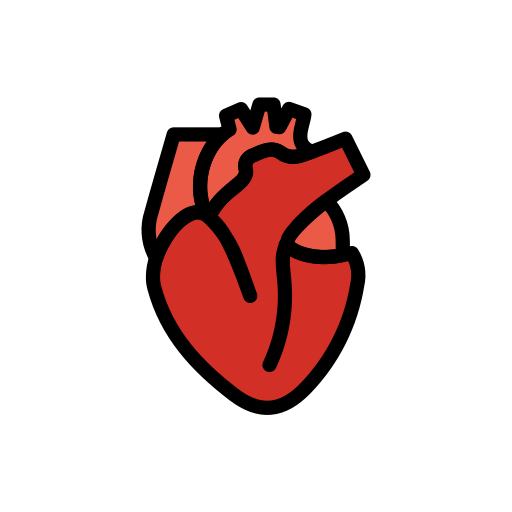 Herz (Organ)