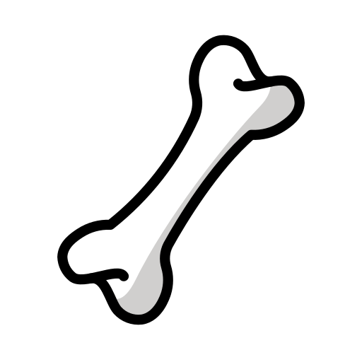 Knochen