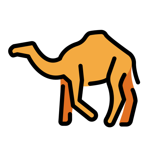 Dromedar