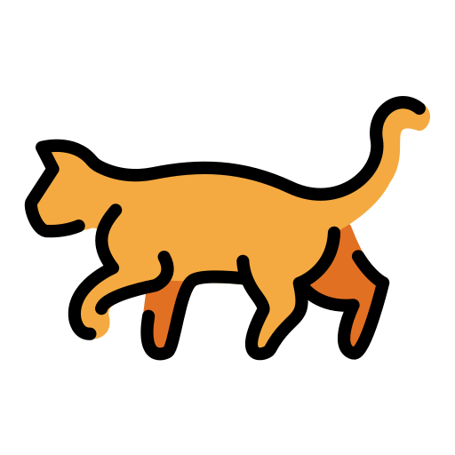Katze