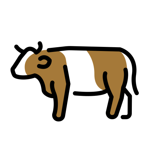 Kuh