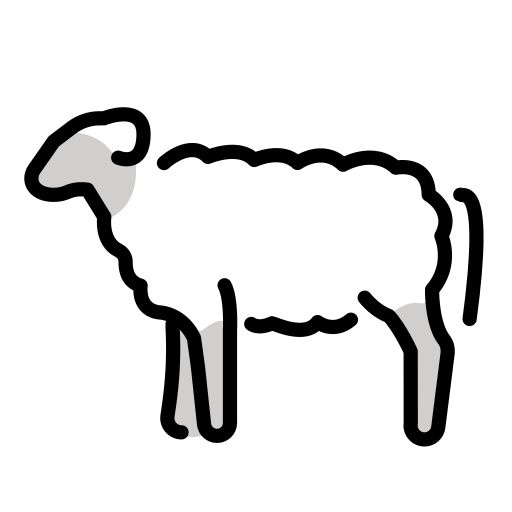 Schaf