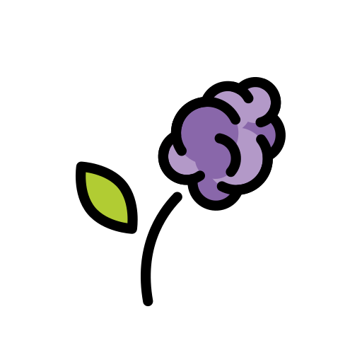 Hyazinthe