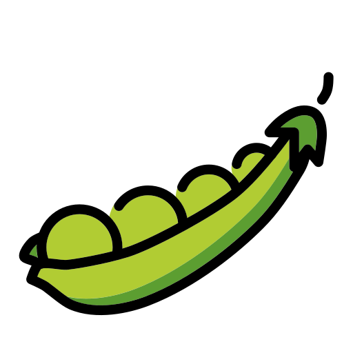 Erbsenschote Erbsenschote