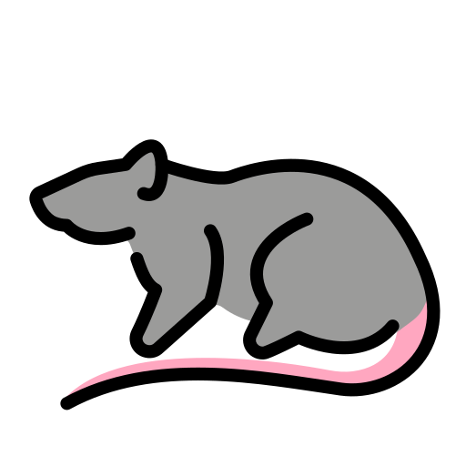 Ratte